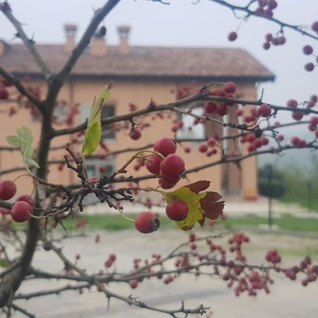 Agriturismo Ben Ti Voglio Villa Bologna Exterior photo